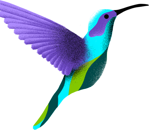 Colibrí-Izquierda