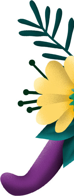 Flores-2