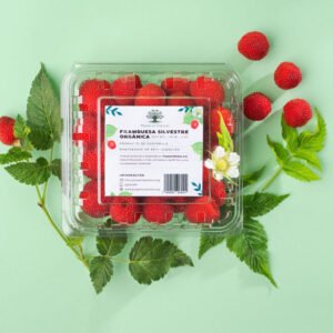 Wild Raspberries