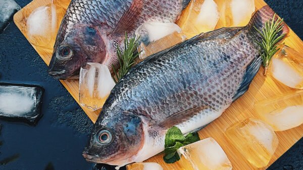 Natural Tilapia (per once)