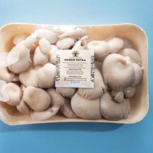 Oyster Mushrooms